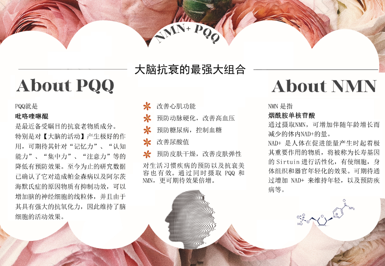 NMN 10500+PQQ（60粒）